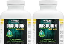 Nutramax Dasuquin Review: Does This Joint Supplement Truly Support Large Dogs’ Mobility?