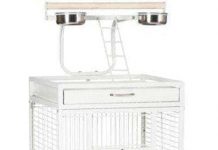 Prevue Hendryx 3151C Bird Cage Review: Durable Design, Spacious Comfort, Worth the Price?