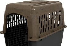 Petmate Ruffmaxx Dog Kennel Review: Is This 36″ Crate Built for Comfort & Durability?