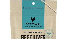 Vital Essentials Beef Liver Dog Treats Review: Are These Freeze-Dried Treats Worth It?