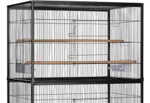 Prevue Wrought Iron Flight Cage Review: Is This Durable Bird Cage Worth Your Investment?