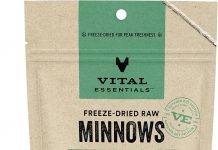 Vital Essentials Minnows Cat Treats Review: Are These Grain-Free Freeze-Dried Snacks Worth It?