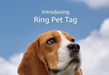Ring Pet Tag Review: Does This QR Smart ID Deliver Real-Time Alerts Without Fees?