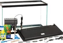 Tetra Complete LED Aquarium 29 Gallons Review: Is This All-in-One Kit Worth It for Beginners?