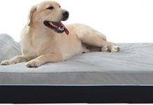 Laifug Orthopedic Memory Foam Dog Bed Review: Comfort, Durability & Worth It?