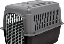 Petmate Large Breeds Dog Kennel Review: Is It the Right Durable Travel Crate for Your Dog?