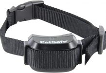 PetSafe YardMax Dog Fence Collar Review: Is It Worth Keeping Your Dog Safe and Secure?