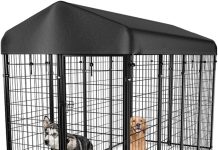 Dog Kennel Outside with Roof Review: Is This Heavy-Duty Outdoor Crate Worth It for Large Dogs?