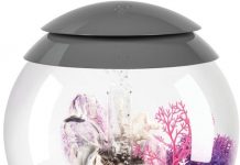 biOrb Halo 15 Aquarium Review: Is This Compact LED Fish Tank Worth Your Space and Money?