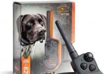 SportDOG SportHunter 825X Review Evaluate Its Long-Range, Waterproof Training Collar Worth