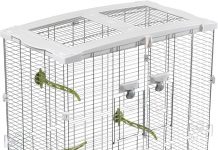 M02 Wire Bird Cage Review: Is This the Best Home for Parakeets and Small Birds?
