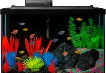 GloFish 20 Gallon Aquarium Kit Review: Worth It? LED Lights, Heater & Filter Evaluated