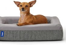 Casper Dog Bed Review: Is This Plush Memory Foam Bed Worth the Investment for Your Pet?