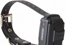 Educator Additional Receiver & Collar Review: Is It Worth Adding to Your Training System?