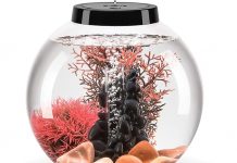 biOrb Classic 15 Aquarium Review: Is This 4-Gallon Starter Tank Worth Your Investment?