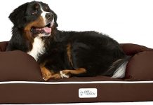 PetFusion Ultimate Dog Bed Review: Orthopedic Support and Comfort for Large Dogs Evaluated