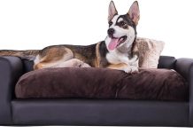 Moots Premium Leatherette Pets Sofa Review: Is This Stylish Dog Couch Worth the Price?