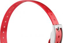 Garmin PT10 Dog Device Red Collar Review: Is It Worth It for Training and Bark Control?