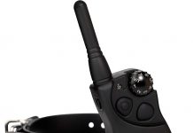 SportDOG YardTrainer 300 Review: Is This Waterproof Remote Trainer Worth Your Investment?