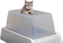 PetSafe ScoopFree Crystal Pro Review: Is This Self-Cleaning Litter Box Worth the Cost?