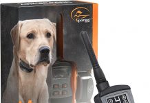 SportDOG SportTrainer 875 Review: Is This E-Collar Worth It for Serious Dog Training?