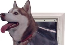 Ideal Pet Wall Entry Door Review: Is This Double Flap Design Worth Installing in Your Home?