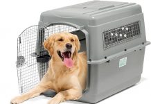 Petmate Sky Kennel Review: Is This Airline-Approved Dog Crate Worth the Investment?