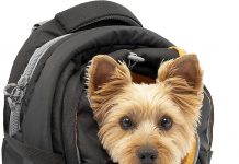 Kurgo G-Train Dog Carrier Backpack Review: Is It Worth Your Small Pet’s Next Adventure?