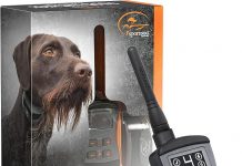 SportDOG SportTrainer 1275 Review: Is This Waterproof Remote Trainer Worth Your Investment?