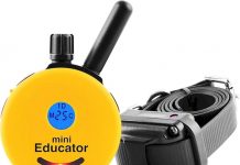 Educator E-Collar Review: Is This Humane Dog Training Collar Worth It for Small-Medium Dogs?