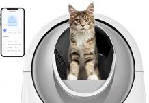 CATLINK Self Cleaning Litter Box Review: Is This Smart Robot Worth It for Multi-Cat Homes?