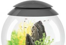 biOrb Halo 15 Aquarium Review: Is This Compact LED Aquarium Worth Your Space and Money?