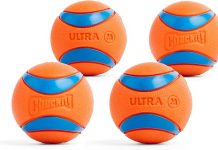 Chuckit! Ultra Ball Review: Is It Worth the Hype for Medium Dogs and Fetch Lovers?