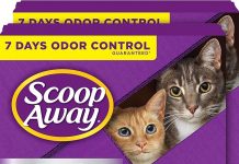 Scoop Away Advanced Multi-Cat Clumping Cat Litter Review: Does It Really Control Odors?