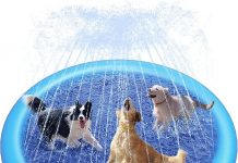 Peteast Splash Pad Review: Is This Anti-Slip Dog Pool Worth the Investment for Large Dogs?
