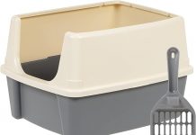 Amazon Basics Large Cat Litter Box Review: Is Its High-Sided Design Worth the Hype?