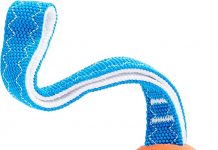 Chuckit! Ultra Tug Dog Toy Review: Is It the Best Fetch & Tug Toy for Your Dog?