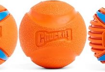 Chuckit! Dog Balls Review: Durable, High-Bounce Fetch Toys Worth the Investment?