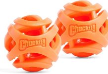 Chuckit! Air Fetch Ball Review: Is This Breathable Toy Worth the Hype for Active Dogs?