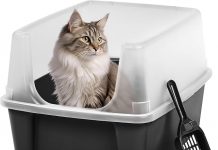IRIS USA Open Top Cat Litter Box Review: Is It Worth the Hype for Multi-Cat Homes?