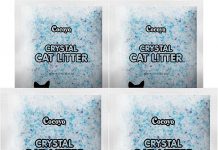 COCOYO Crystal Cat Litter Review: Is It the Best Odor-Control Solution for Your Cat?