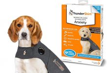 ThunderShirt for Dogs Review: Does This Calming Vest Truly Ease Anxiety?