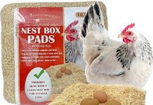 Nest Box Pads Review: Do Sustainable Aspen Excelsior Pads Really Make Coop Maintenance Easier?