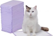 Amazon Basics Cat Litter Pee Pads Review: Effective Odor Control & Value for Money?