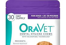 ORAVET Dental Chews Review: Are They Worth the Price for Your Dog’s Oral Health?
