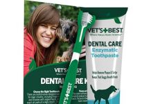 Vet’s Best Dog Toothpaste & Toothbrush Kit Review: Effective Plaque Removal or Just Hype?