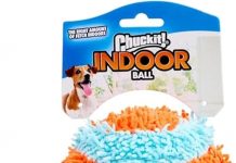 Chuckit! Indoor Fetch Ball Review: Is It the Ultimate Toy for Indoor Dog Play?