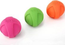 Hartz DuraPlay Ball Squeaky Dog Toy Review: Is It Worth the Hype for Active Pups?