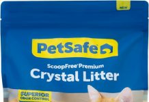 PetSafe ScoopFree Crystal Cat Litter Review: Does It Really Control Odor Effectively?