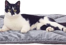 Furhaven ThermaNAP Self-Warming Cat Bed Review: Is It Worth the Hype for Your Pet?